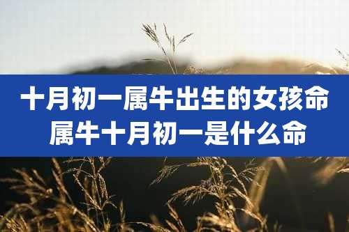 十月初一属牛出生的女孩命 属牛十月初一是什么命