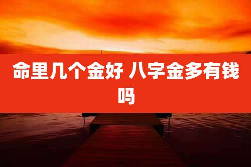 命里几个金好 八字金多有钱吗