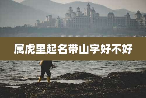 属虎里起名带山字好不好