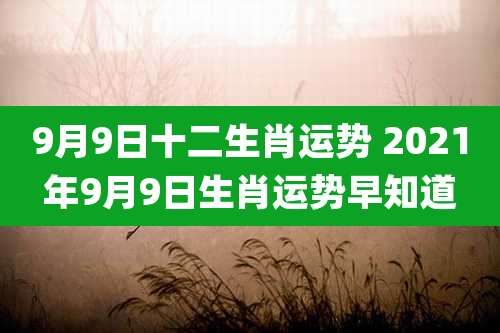 9月9日十二生肖运势 2021年9月9日生肖运势早知道