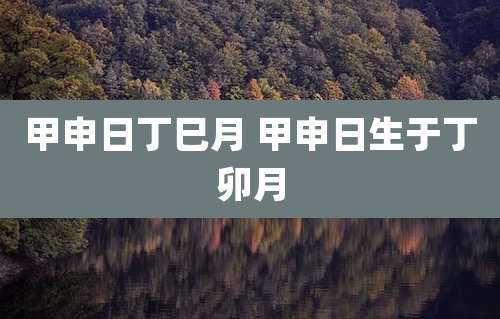 甲申日丁巳月 甲申日生于丁卯月