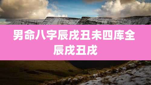 男命八字辰戌丑未四库全 辰戌丑戌