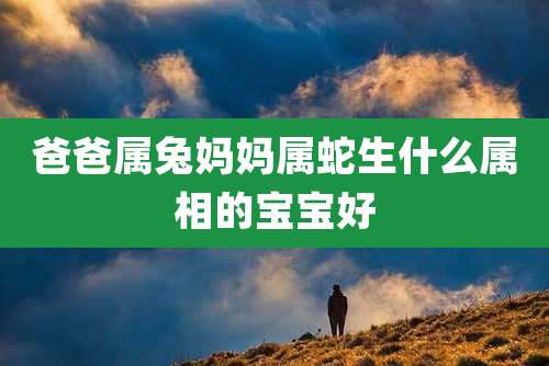 爸爸属兔妈妈属蛇生什么属相的宝宝好