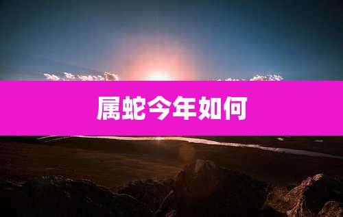 属蛇今年如何