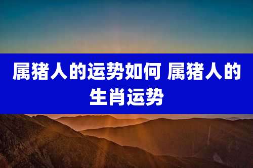 属猪人的运势如何 属猪人的生肖运势