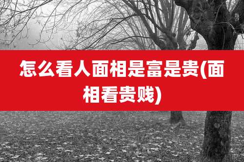 怎么看人面相是富是贵(面相看贵贱)