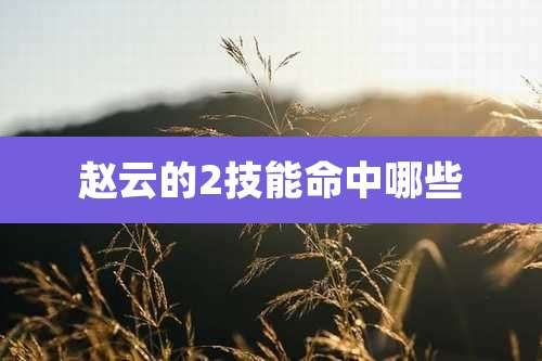 赵云的2技能命中哪些