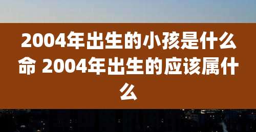 2004年出生的小孩是什么命 2004年出生的应该属什么
