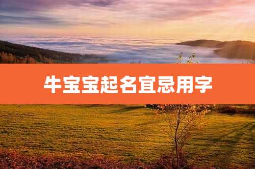牛宝宝起名宜忌用字