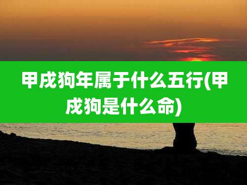 甲戌狗年属于什么五行(甲戍狗是什么命)