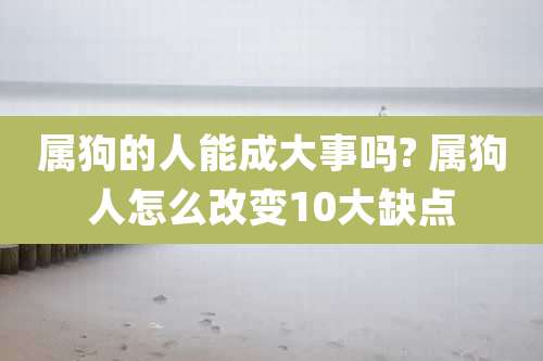 属狗的人能成大事吗? 属狗人怎么改变10大缺点