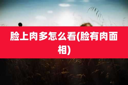 脸上肉多怎么看(脸有肉面相)