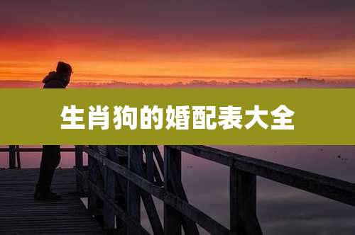 生肖狗的婚配表大全