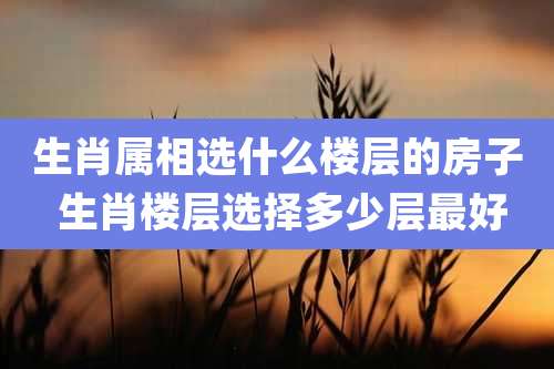 生肖属相选什么楼层的房子 生肖楼层选择多少层最好