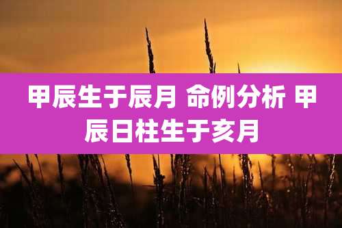 甲辰生于辰月 命例分析 甲辰日柱生于亥月