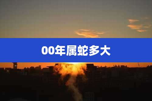 00年属蛇多大