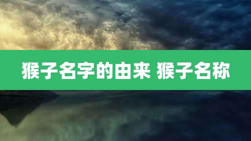 猴子名字的由来 猴子名称