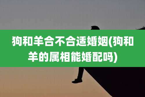 狗和羊合不合适婚姻(狗和羊的属相能婚配吗)