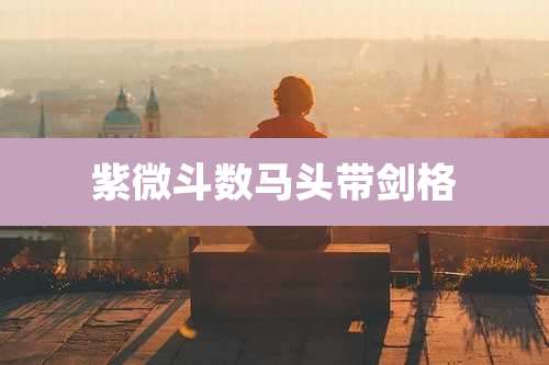 紫微斗数马头带剑格