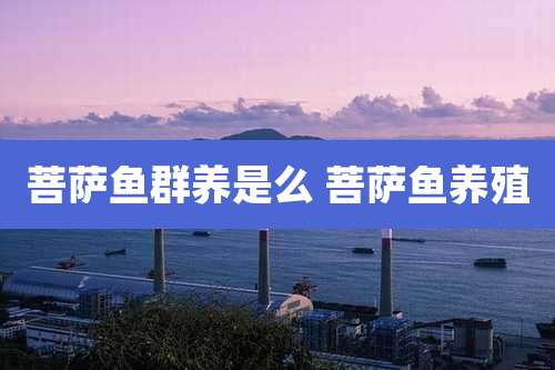 菩萨鱼群养是么 菩萨鱼养殖