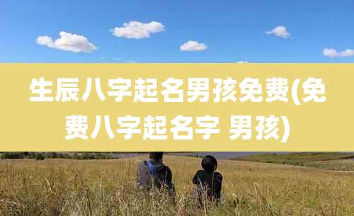 生辰八字起名男孩免费(免费八字起名字 男孩)