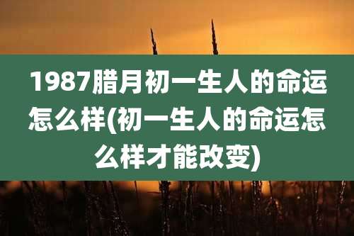 1987腊月初一生人的命运怎么样(初一生人的命运怎么样才能改变)