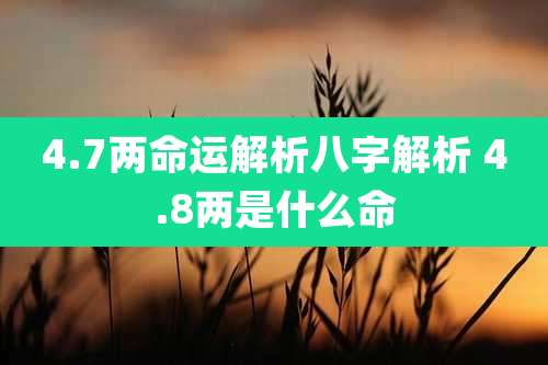 4.7两命运解析八字解析 4.8两是什么命