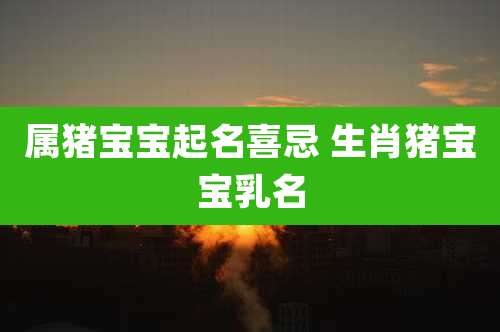 属猪宝宝起名喜忌 生肖猪宝宝乳名