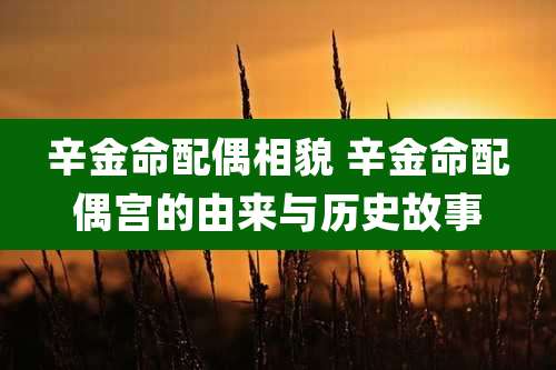 辛金命配偶相貌 辛金命配偶宫的由来与历史故事