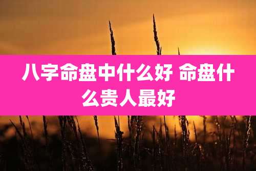 八字命盘中什么好 命盘什么贵人最好