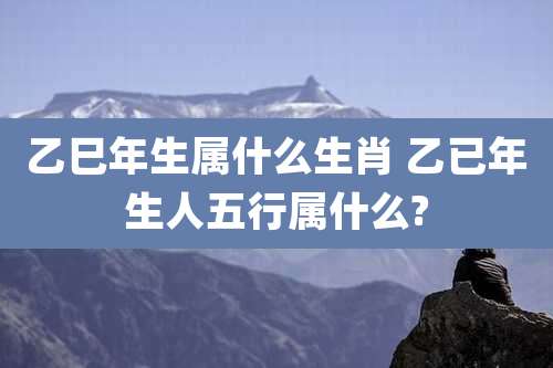 乙巳年生属什么生肖 乙已年生人五行属什么?