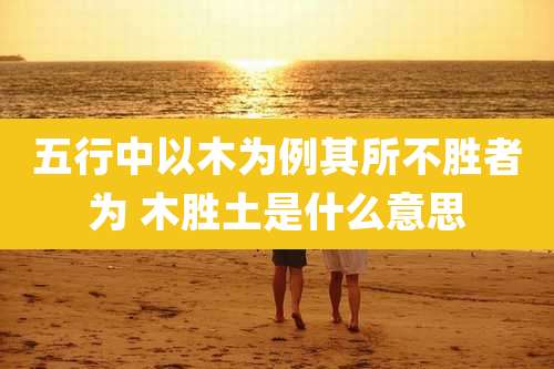 五行中以木为例其所不胜者为 木胜土是什么意思