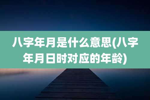 八字年月是什么意思(八字年月日时对应的年龄)