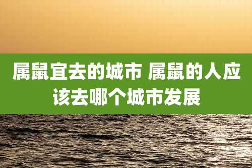 属鼠宜去的城市 属鼠的人应该去哪个城市发展
