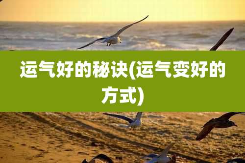 运气好的秘诀(运气变好的方式)