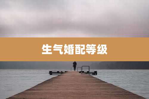 生气婚配等级