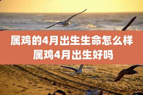 属鸡的4月出生生命怎么样 属鸡4月出生好吗