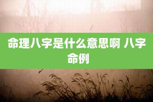 命理八字是什么意思啊 八字 命例