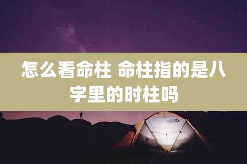 怎么看命柱 命柱指的是八字里的时柱吗