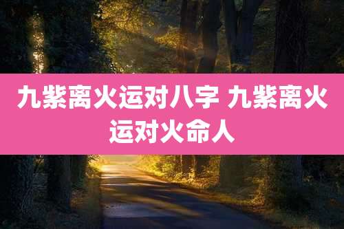 九紫离火运对八字 九紫离火运对火命人