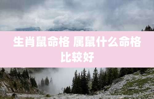 生肖鼠命格 属鼠什么命格比较好