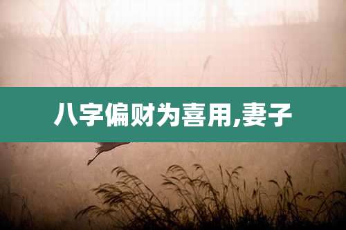 八字偏财为喜用,妻子