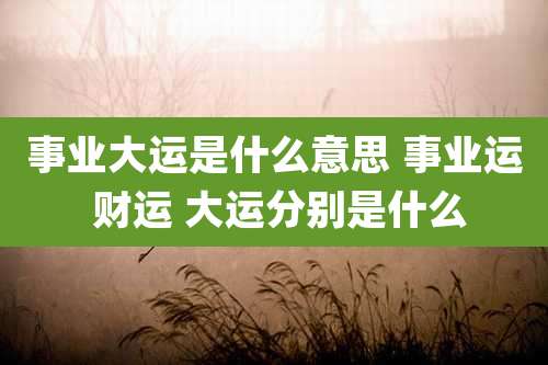 事业大运是什么意思 事业运 财运 大运分别是什么