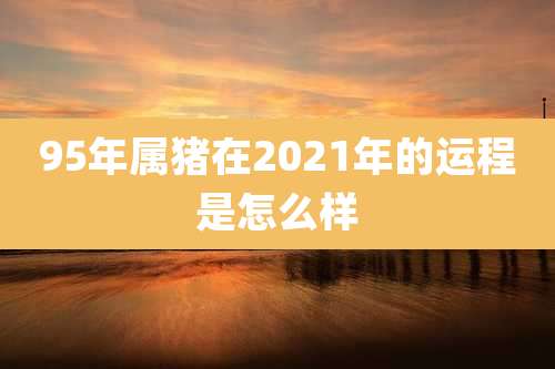 95年属猪在2021年的运程是怎么样