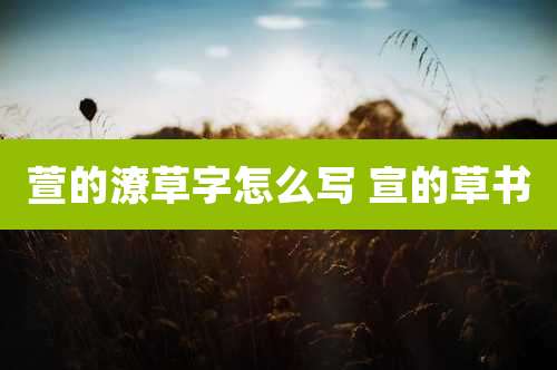 萱的潦草字怎么写 宣的草书