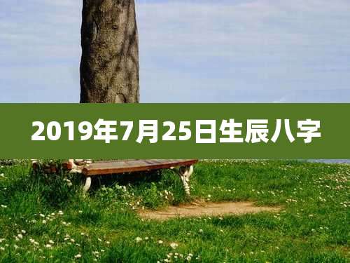 2019年7月25日生辰八字
