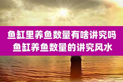 鱼缸里养鱼数量有啥讲究吗 鱼缸养鱼数量的讲究风水