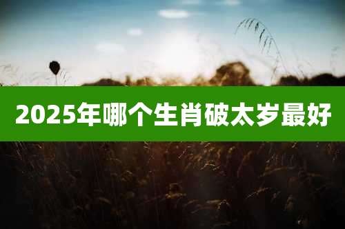 2025年哪个生肖破太岁最好