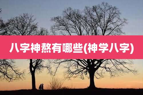 八字神熬有哪些(神学八字)