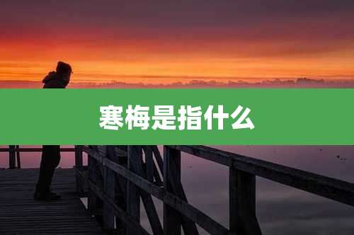 寒梅是指什么